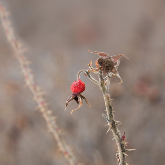 Was wir für  Sie tun