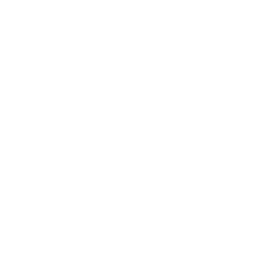 Logo Bestattungen Düring